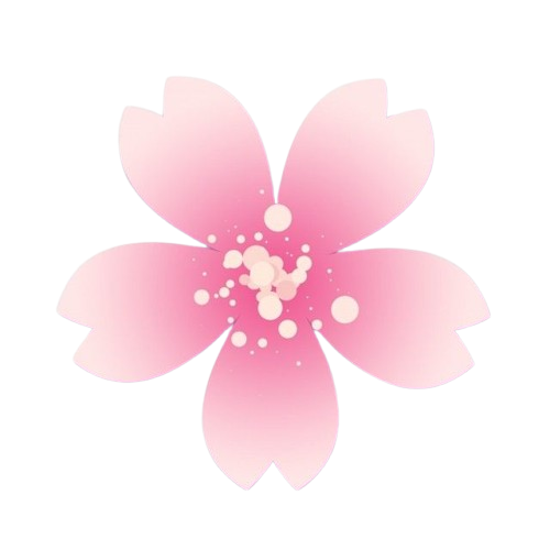 Cherry Blossom Flower