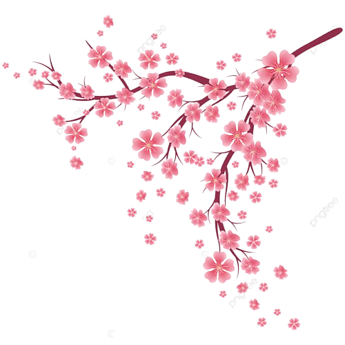 Cherry Blossom Cascade