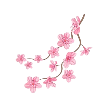 Cherry Blossom Right