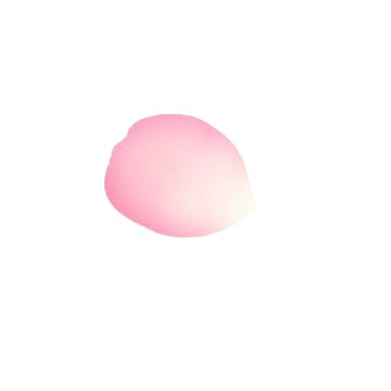 Rose Petal